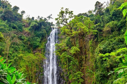 Excursion d&#039;une journée aux chutes d&#039;eau de Materuni