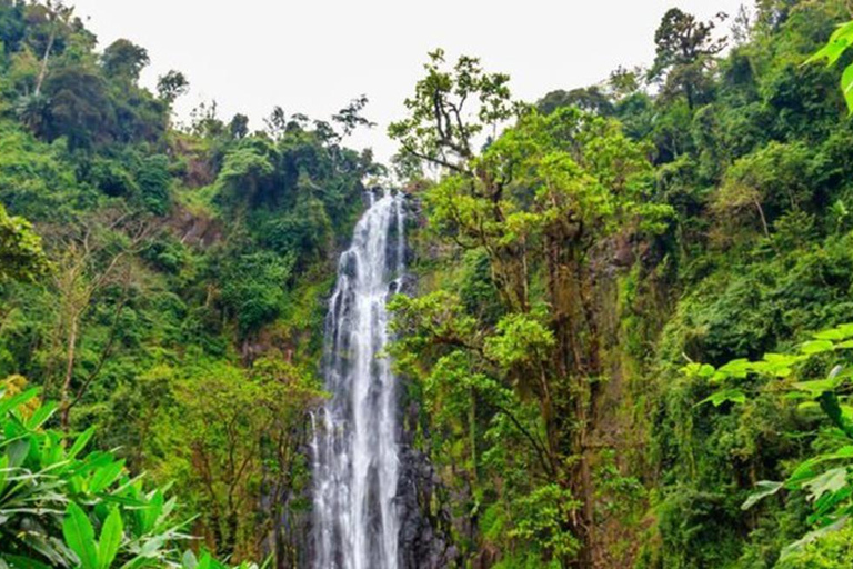 Excursion d&#039;une journée aux chutes d&#039;eau de Materuni