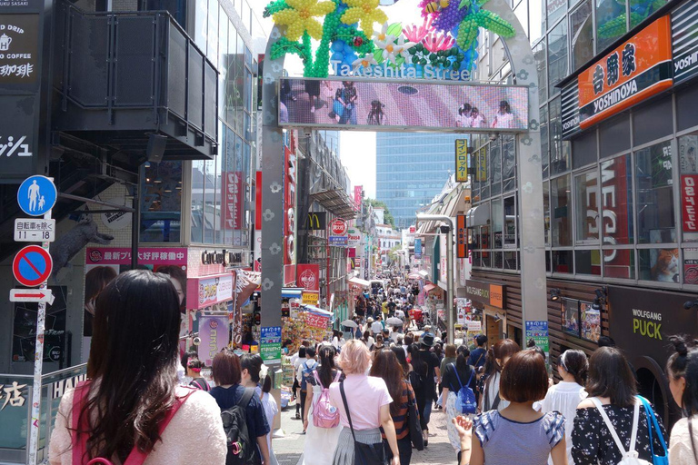 Tokyo: Tour guidato dall&#039;Ing di 2 giorni del Monte Fuji e della città di Tokyo