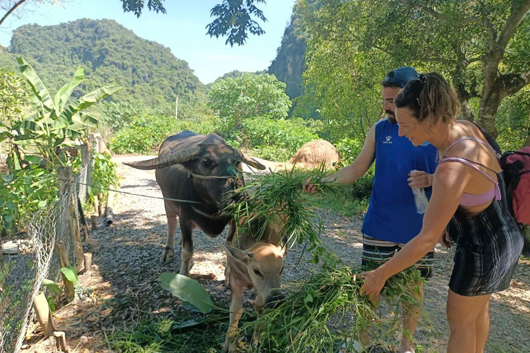 Hanoi: 2-dagars tur till Ninh Binh med boende i privathem och buss till Phong Nha