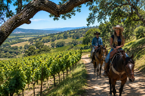 Private Vineyard Horseback Ride in Santa Ynez Valley Santa Barbara: Scenic Canyon Horseback Riding Tour