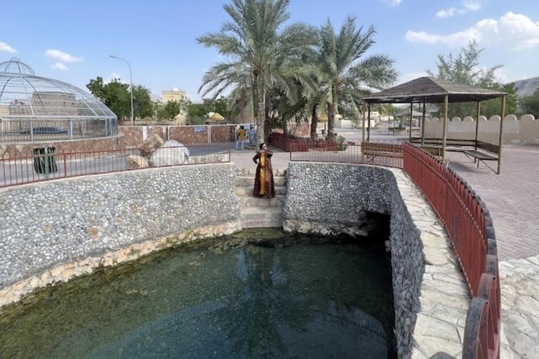 Vanuit Masqat: tour door Rustaq met lunch en warmwaterbronnenVanuit Masqat: Rustaq-tour met lunch en warmwaterbronnen