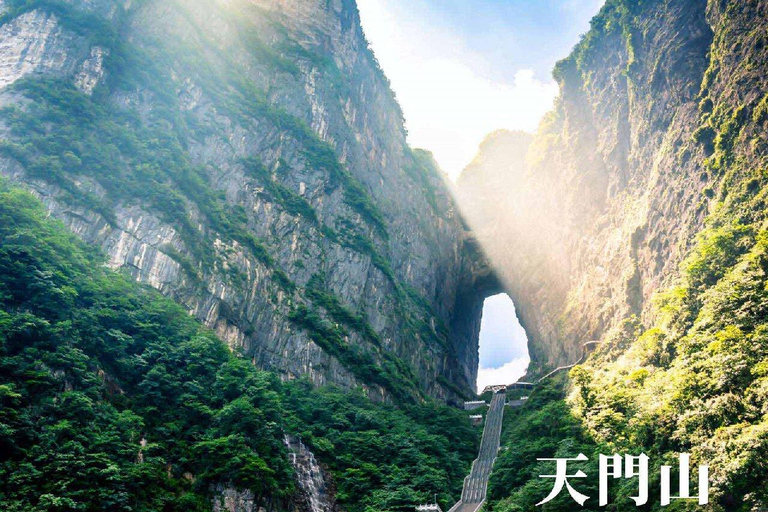 One-day Tour :Night View of Tianmen+ Avatar-like Peak Forest