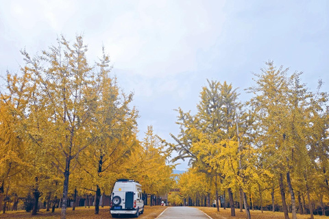 Guilin: Private Ginkgo Village and DaXu Ancient Town Tour