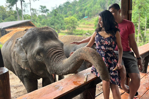 Chiang Mai 2-Day: Good Morning Elephant & Overnight Homestay