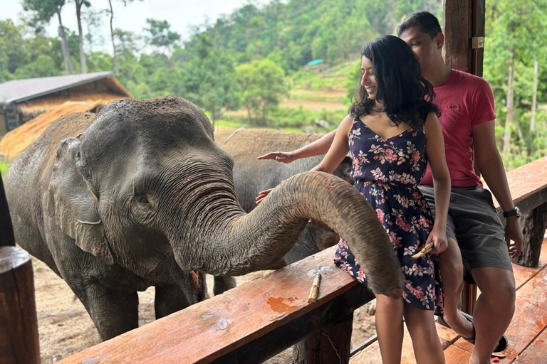 Chiang Mai 2-Day: Good Morning Elephant & Overnight Homestay