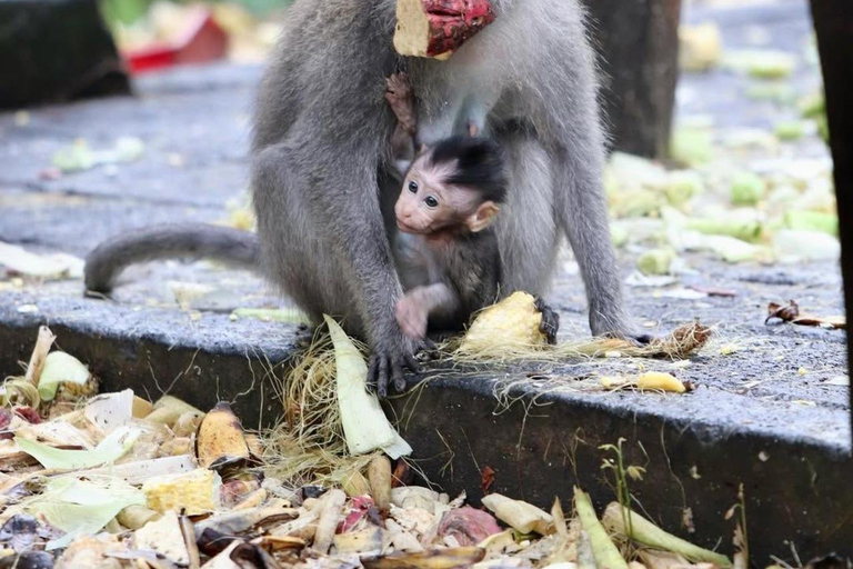 Ubud: Monkey Forest, Pura, Rice Terraces, Hidden Waterfall Ubud : Private Tour With Ticket