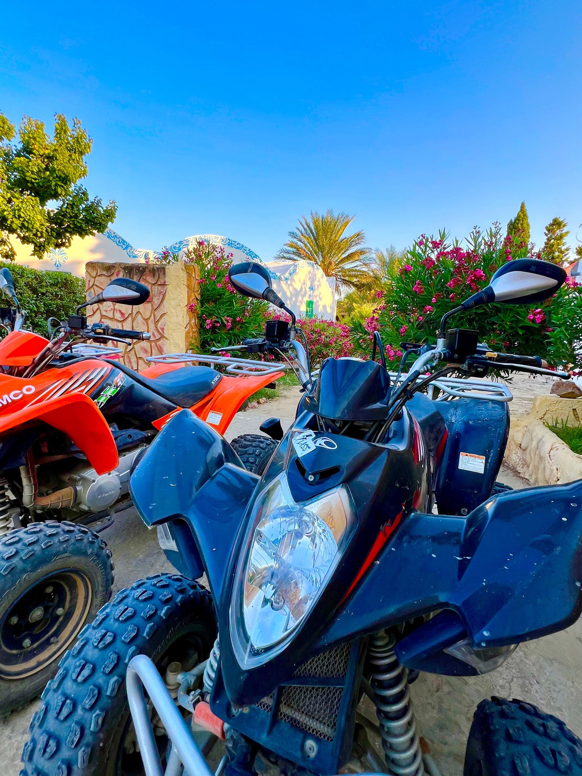 Hammamet: Professioneller Quad-Ausflug bei Sonnenuntergang