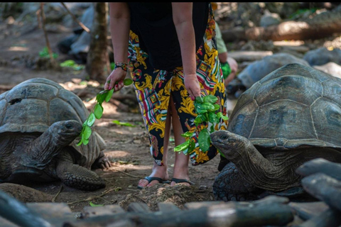 Zanzibar: Jozani forest, stone town tour & Prison island Private tour With Hotel pick up and drop off included