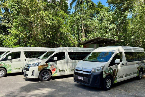 Port Douglas: Half Day Tour - Mossman Gorge & Daintree River