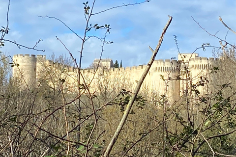 Avignon: Food & Wine Walk | Gourmet Taste & Local Vibes