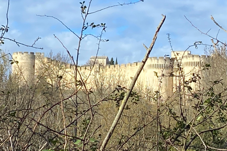Avignon: Food & Wine Walk | Gourmet Taste & Local Vibes