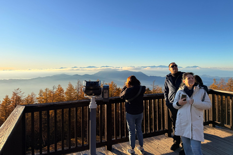 Tokyo: Mt Fuji A Journey Through Nature, History & Culture Tokyo: Mt Fuji A Journey Through Nature, History, & Culture