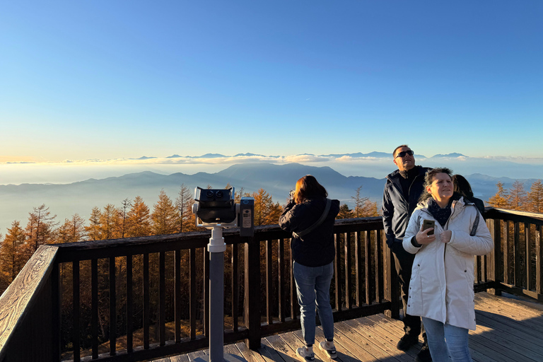 Tokyo: Mt Fuji A Journey Through Nature, History & Culture Tokyo: Mt Fuji A Journey Through Nature, History, & Culture