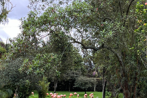 BOGOTÁ: Passeio ao parque Jaime Duque, zoológico e museu aeroespacial