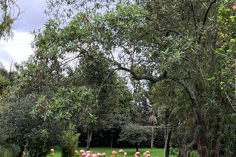 BOGOTA : Visite du parc Jaime Duque, du zoo et du musée de l&#039;aérospatiale