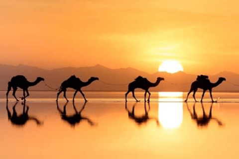 Addis Ababa:5 Day Danakil, Abune Yemata & including Lalibela