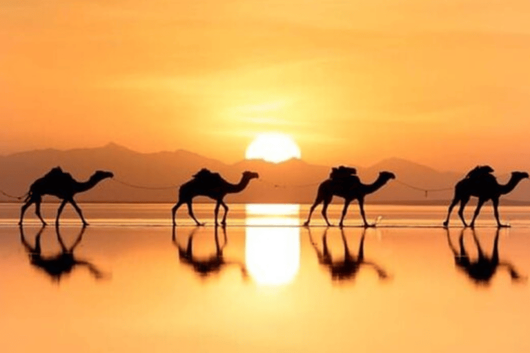 Addis Ababa:5 Day Danakil, Abune Yemata & including Lalibela