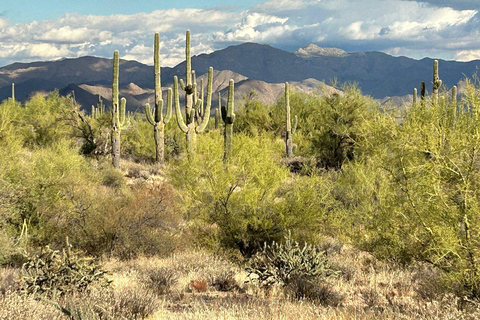 Arizona: Great Western Trail Jeep Tour at Rio Verde Sunset Great Western Trail Jeep Tour