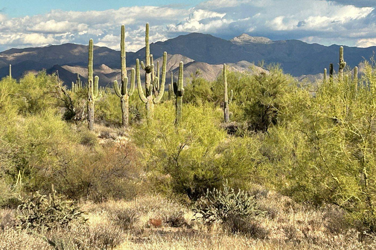 Arizona: Great Western Trail Jeep Tour at Rio Verde Sunset Great Western Trail Jeep Tour