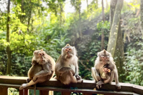 Ubud: Monkey Forest, Water Temple, Rice Terrace & Waterfall Ubud Full Day Tour 8-12 hours