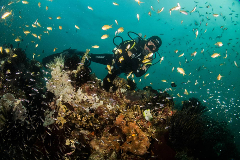 Duiken in Boracay: SSI Basic Diver voor beginnersDuiken in Boracay: basisduiker voor beginners