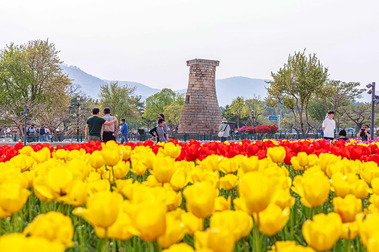 Gyeongju UNESCO Day Tour from Busan | Bulguksa & Seokguram Gyeongju:Seokguram Grotto Tour–Seomyeon Subway Stn. Exit 12