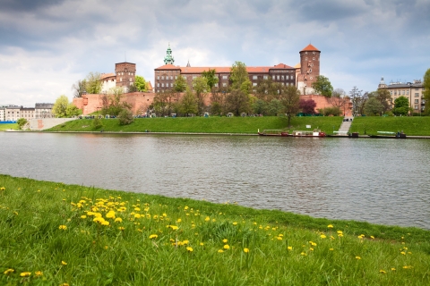 Cracovia: Castillo de Wawel, Catedral, Mina de Sal y Almuerzo