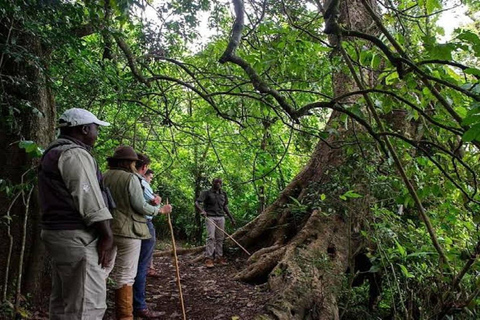 Desde Arusha:Excursión de un día al Lago Duluti - Piragüismo y Senderismo