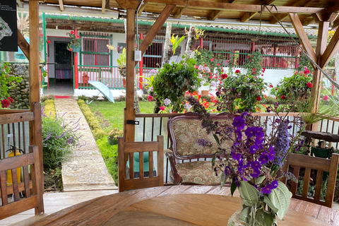 De Medellín: Visita ao café Jardín, passeio a cavalo opcional