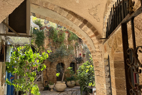 Tel Aviv: Private Highlights Tour with Driver