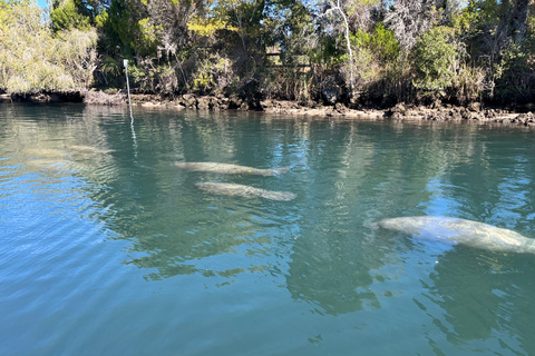 Crystal River: Manatee Eco-Tour Boat Ride Crystal River Private Manatee Eco tour