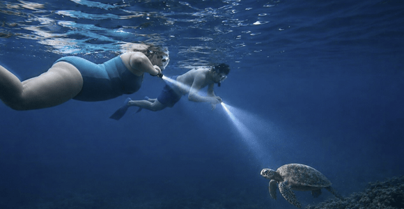 Maui: Turtle Town Sunset Glow Snorkel With Optional Photo
