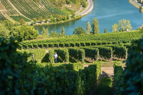 Luxembourg: Moselle Wine & Beaufort Castle Private Day Tour