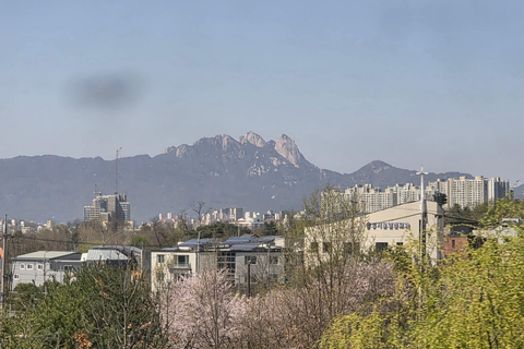 Seoul: Hallyu Nami Island Day Trip with romantic Train