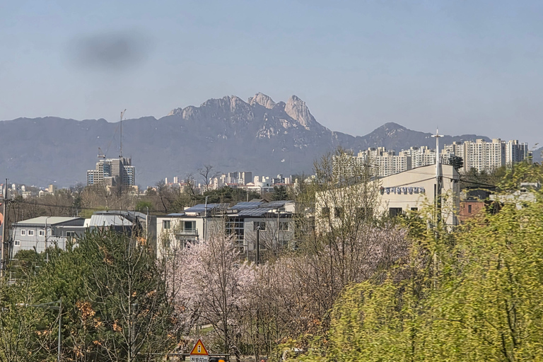 Seoul: Hallyu Nami Island Day Trip with romantic Train