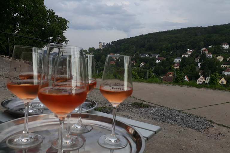 Wurtzbourg : rallye dans les vignobles avec dégustation de vins et dynamique de groupeWuerzburg : rallye dans les vignobles avec dégustation de vin et dynamique de groupe