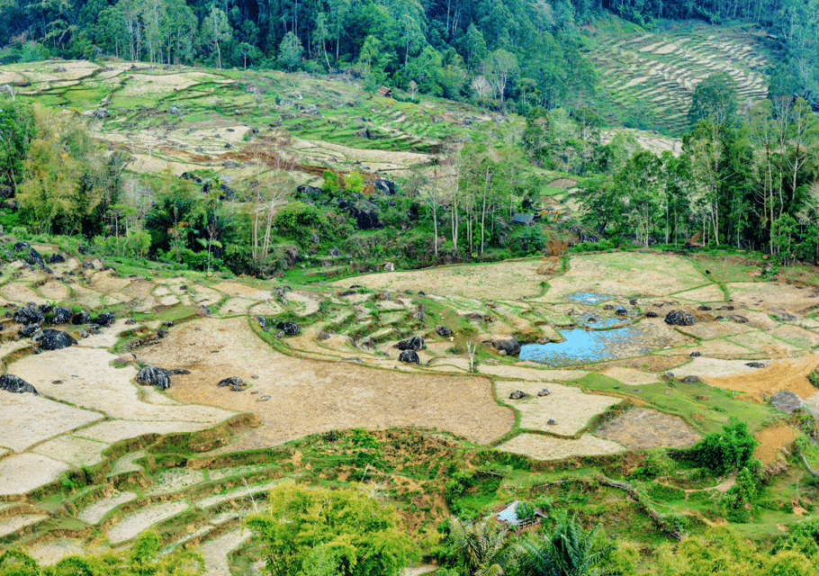 Tana Toraja, Private 3D2N tour in South Sulawesi - Housity