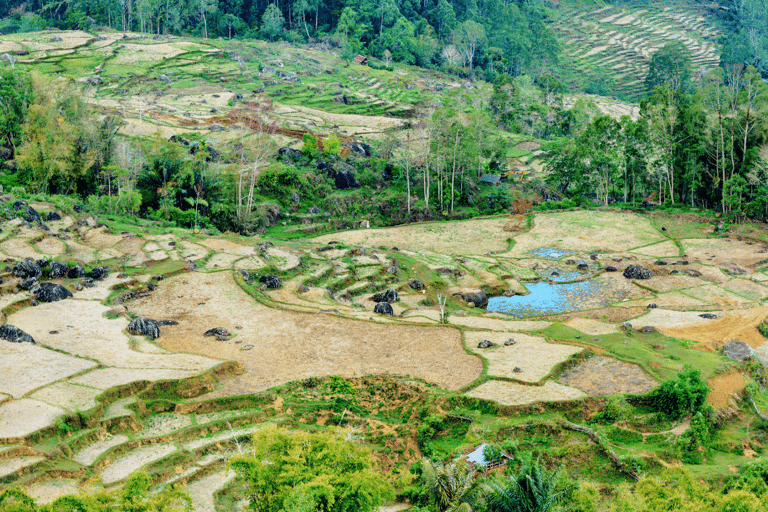 Tana Toraja: tour privato di 3D2N nel Sulawesi meridionaleTour senza voli