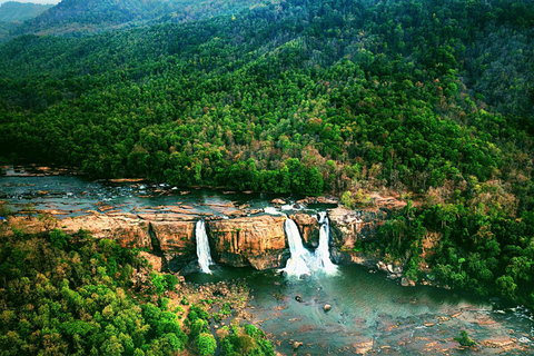 Athirappilly Waterfalls from Cochin – One Day Tour