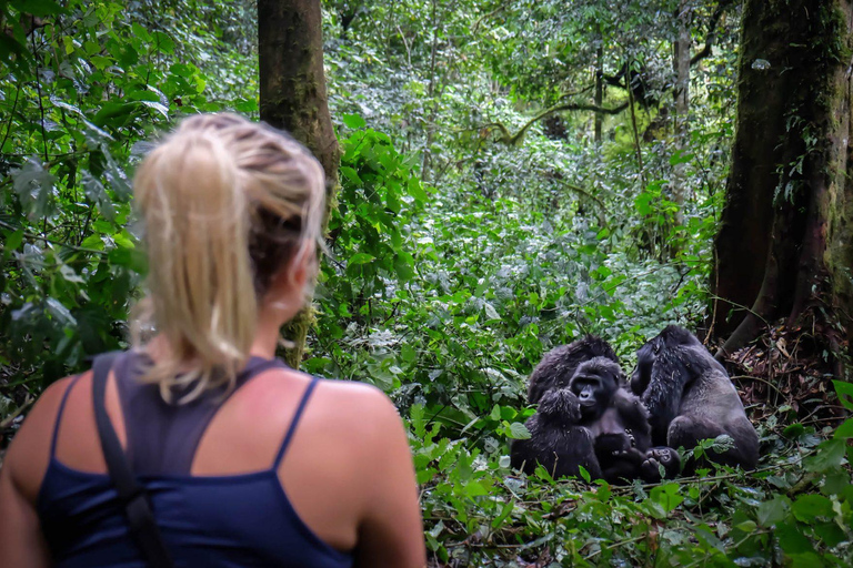 2 Day Rwanda Gorilla and Golden monkey trekking tour