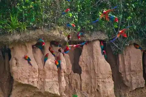 SAFARI DE ANIMALES EN TAMBOPATA (3 DÍAS - 2 NOCHES)