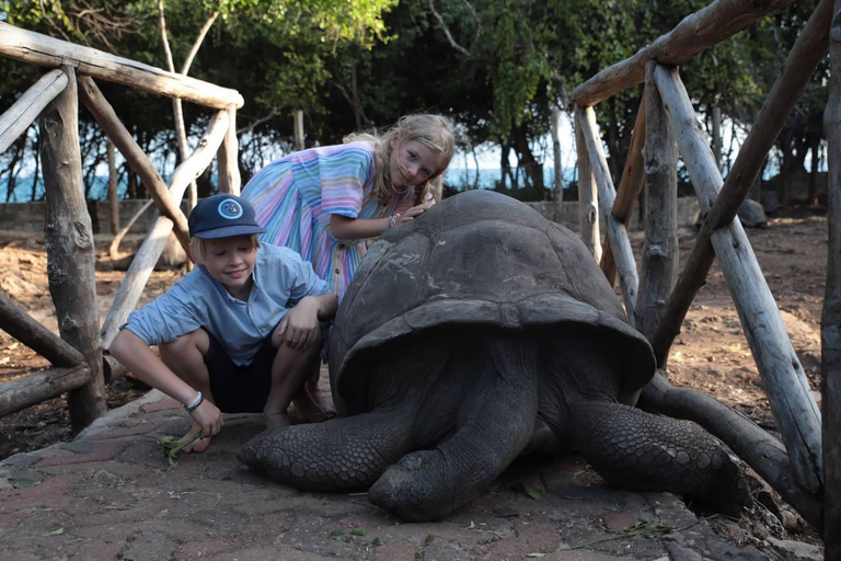 Zanzibar: Private Spice tour &amp; Prison Island &amp; Stone town