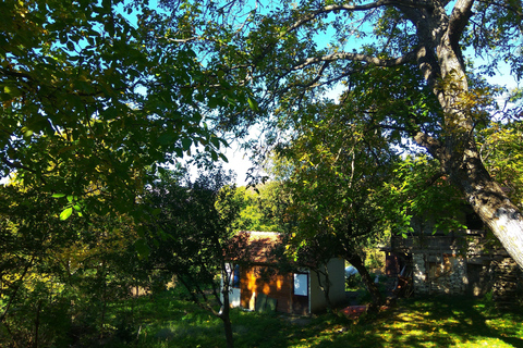 Skopje: Brodec - Spirova Hut - Crn Kamen Hike TourBrodec - Spirova Hut - Crn Kamen-tur