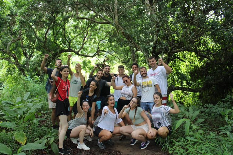 Chiang Mai: Elefanti, cascate e rafting in acque bianche