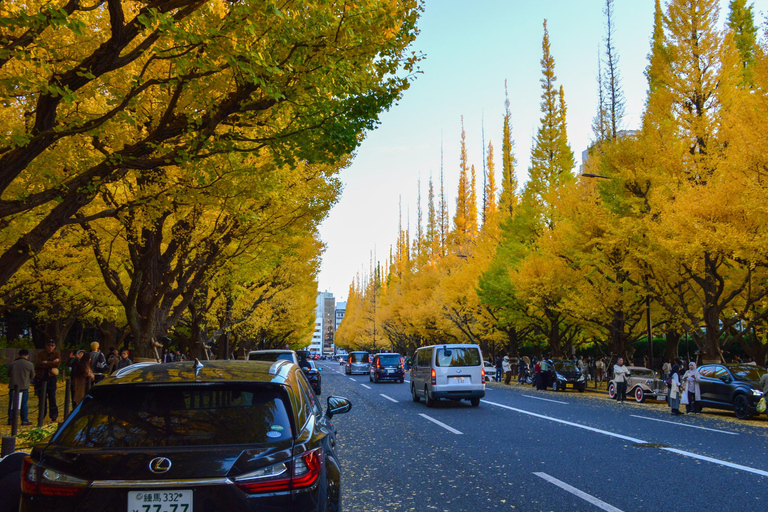 Tokyo: Golden Ginkgo Avenue Autumn Leaves Walk