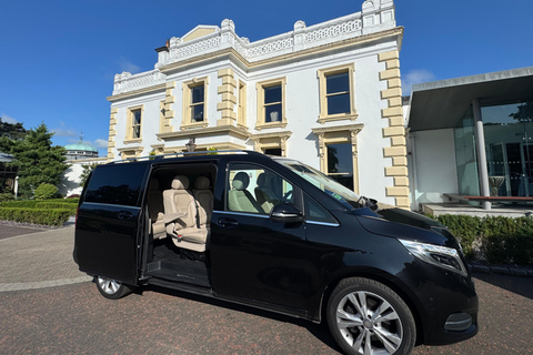 Belfast: Private Custom Tour with Driver and Guide