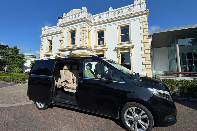 Belfast: Private Custom Tour with Driver and Guide