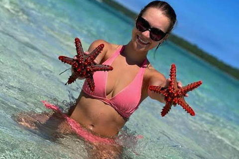 ZANZIBAR: Atemberaubende natürliche Lagune und Seestern-TourZANZIBAR: Wunderschöne natürliche Lagune und Seestern-Tour