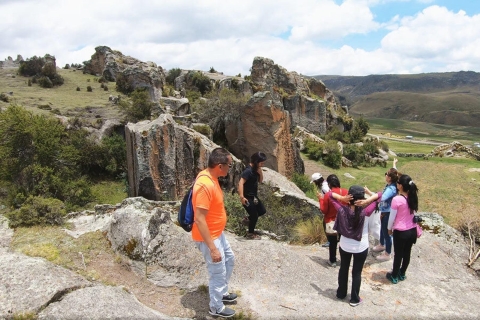 Huaraca - poznaj tajemniczy kamienny gaj